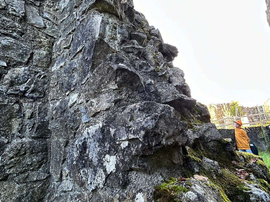Les Ruines Medievales de Poilvache景点图片