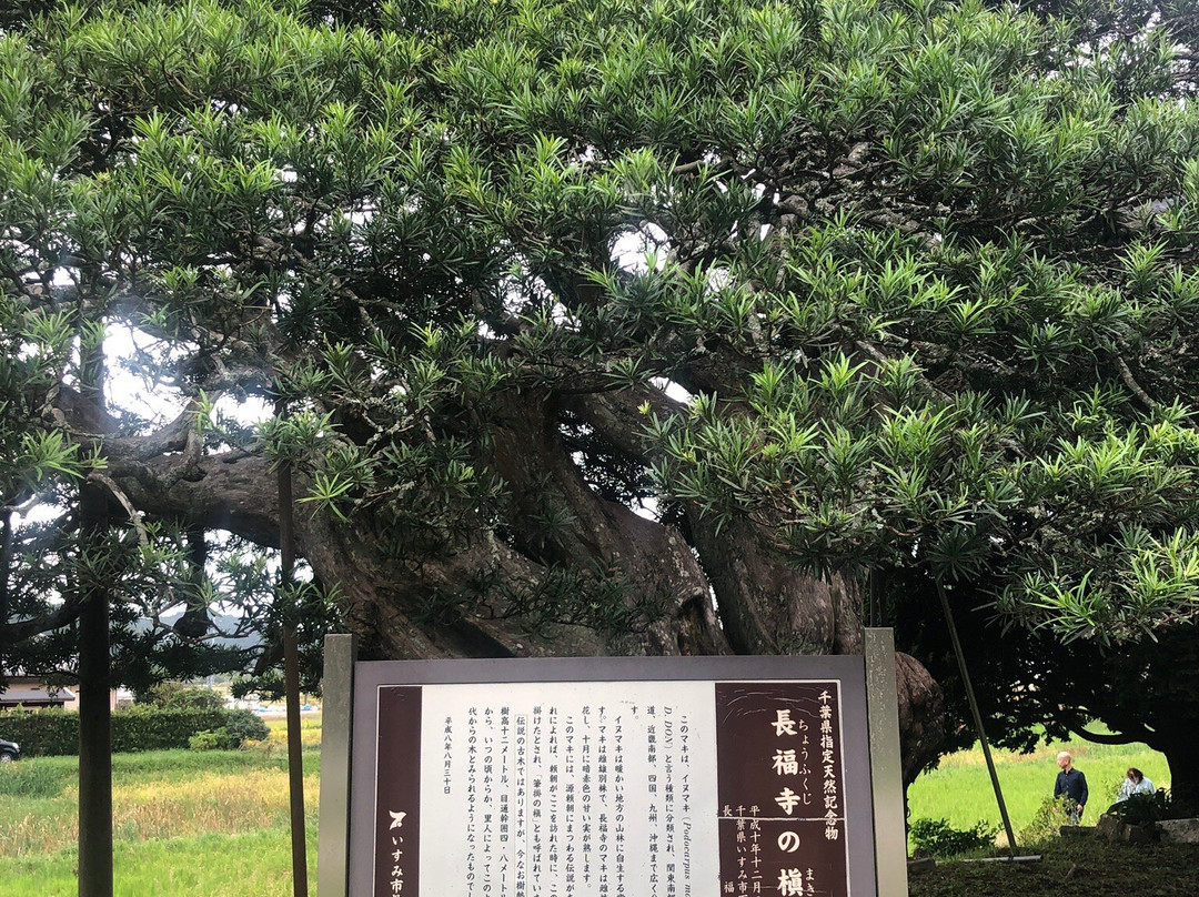 Suzurisan Chofuku-ji Temple-夷隅市必去景点