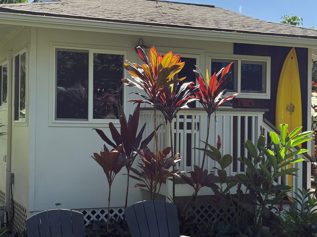 凯伊奇海滩小屋主图