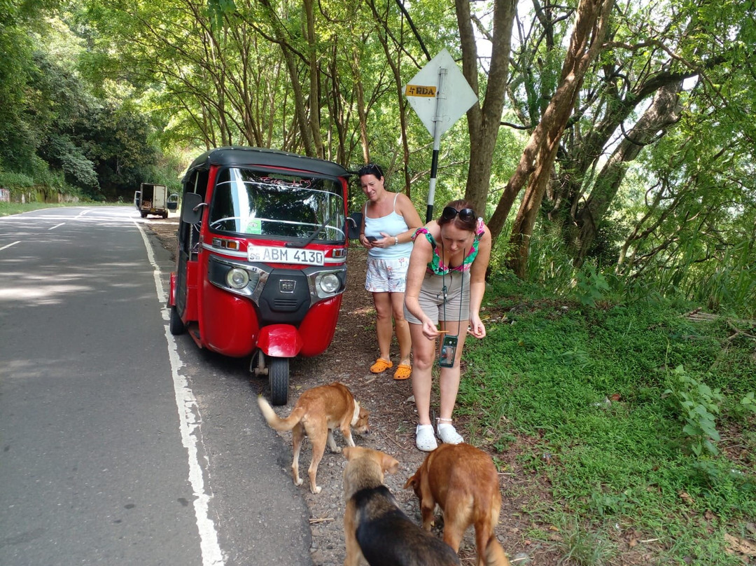 Eric Tuk Tuk and Cheaper Taxi Udawalawe-乌达瓦拉瓦必去景点