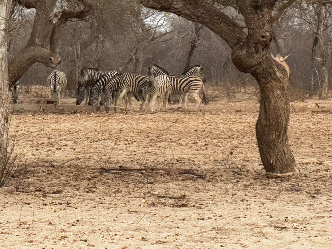 Wildacker Guestfarm主图