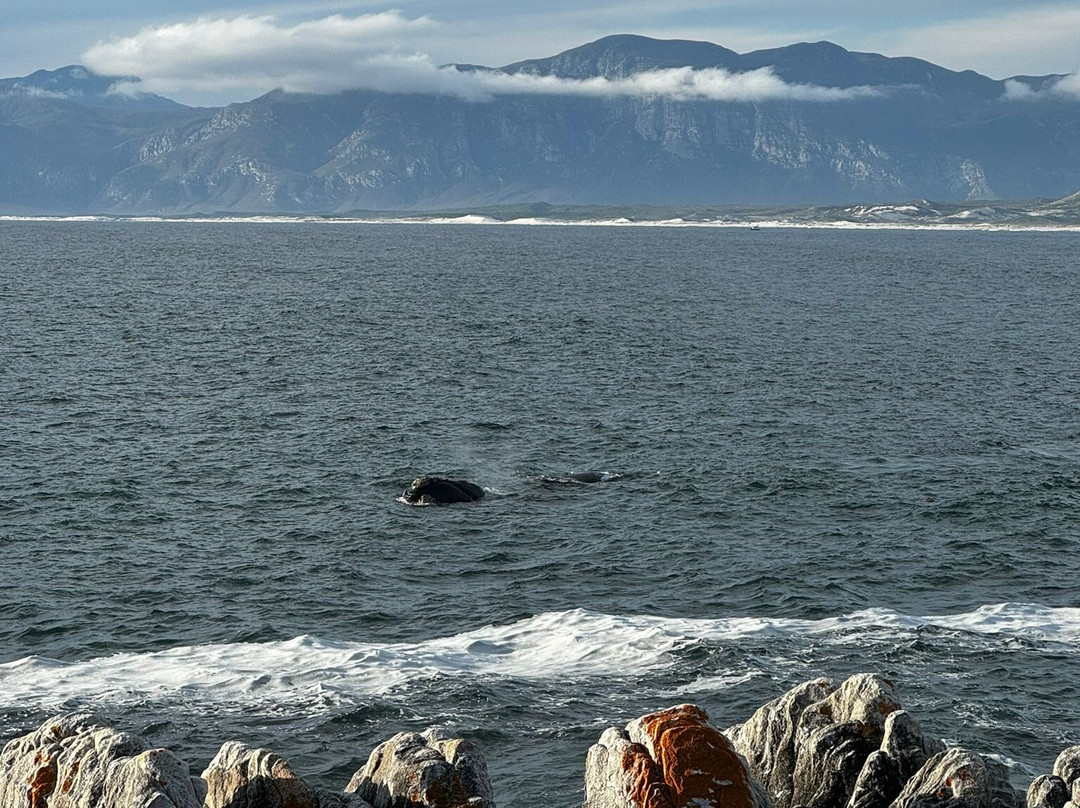 65onCliff Guest Lodge主图