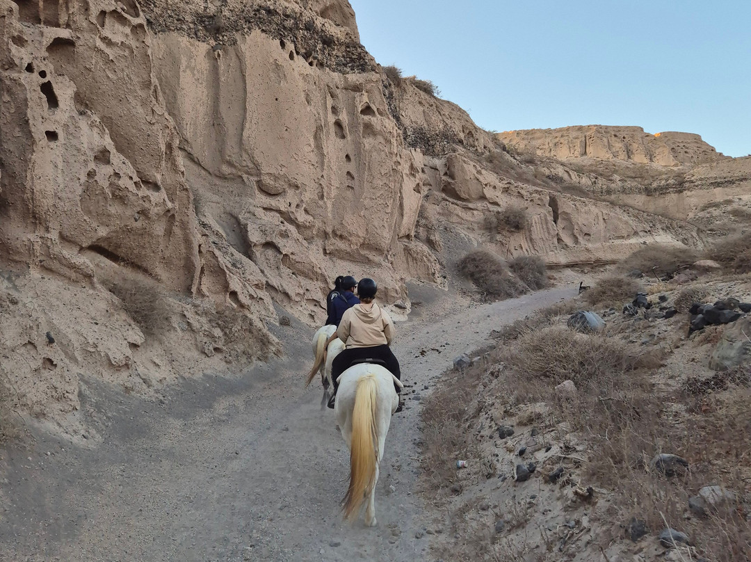 Experience Horse Riding景点图片