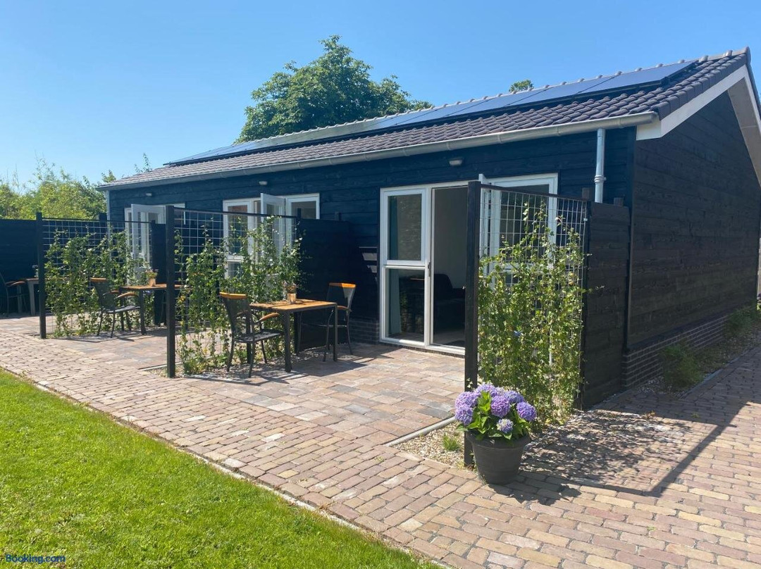 B&B Duinroos