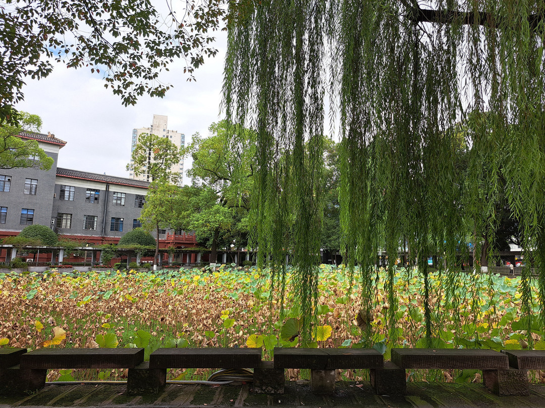 四川大学-成都必去景点