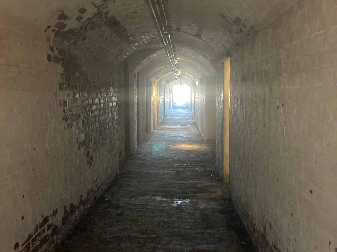Fort Nepean景点图片