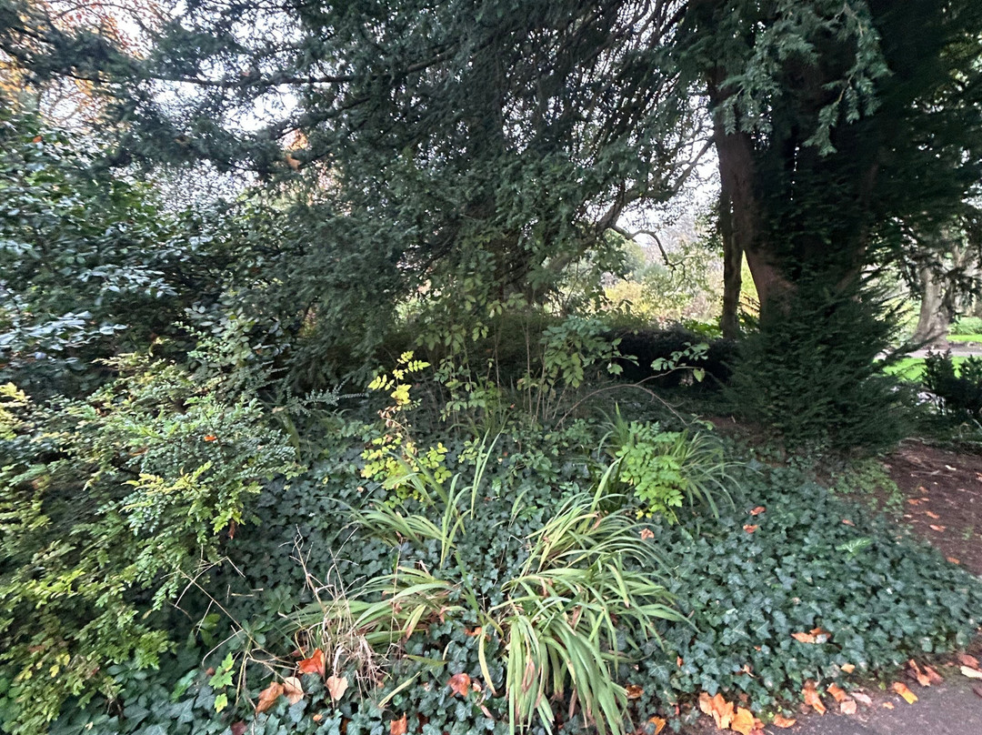 Botanical Gardens at Victoria Park-巴斯必去景点