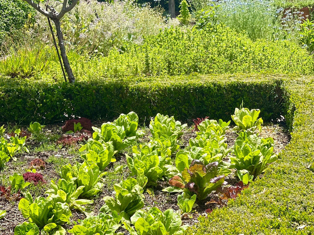 Gemoedsrus Farm主图