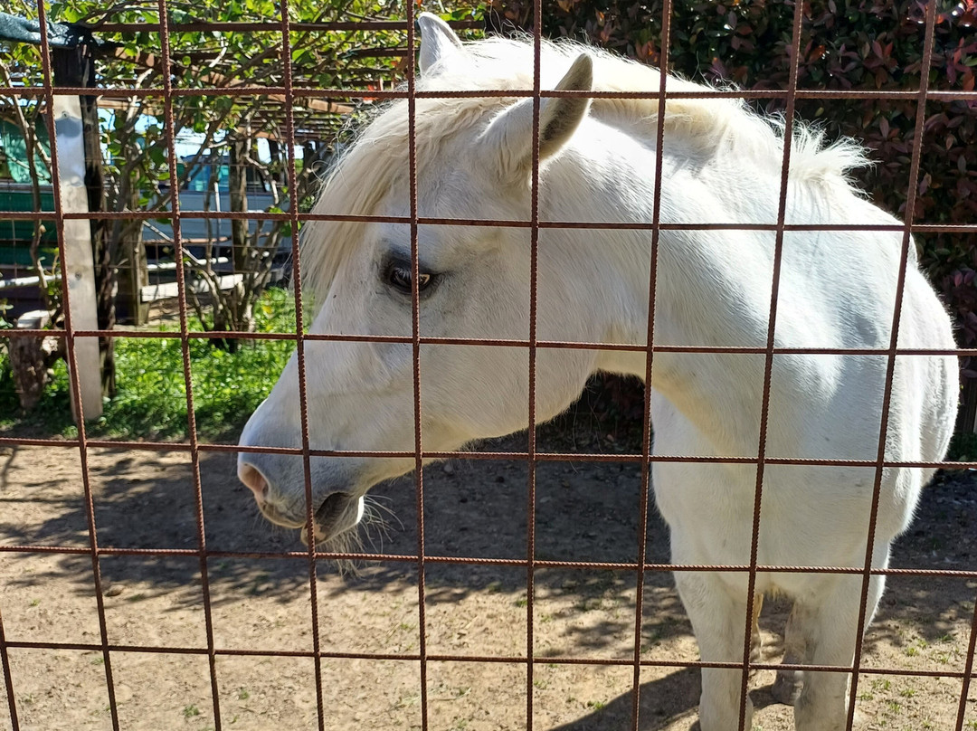 Fattoria Piolanti-Lazzate必去景点