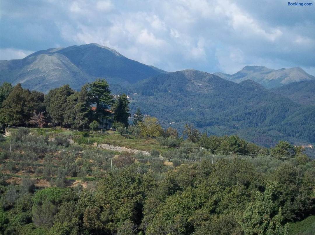 Caddelovi