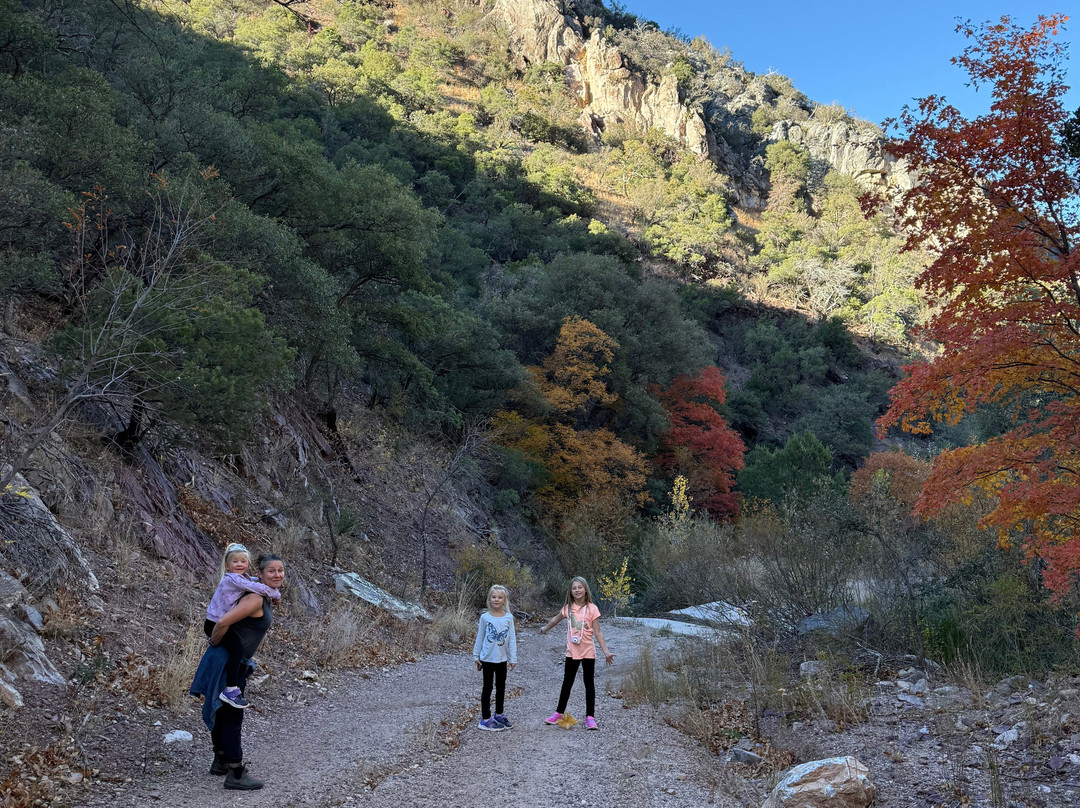 Garden Canyon景点图片