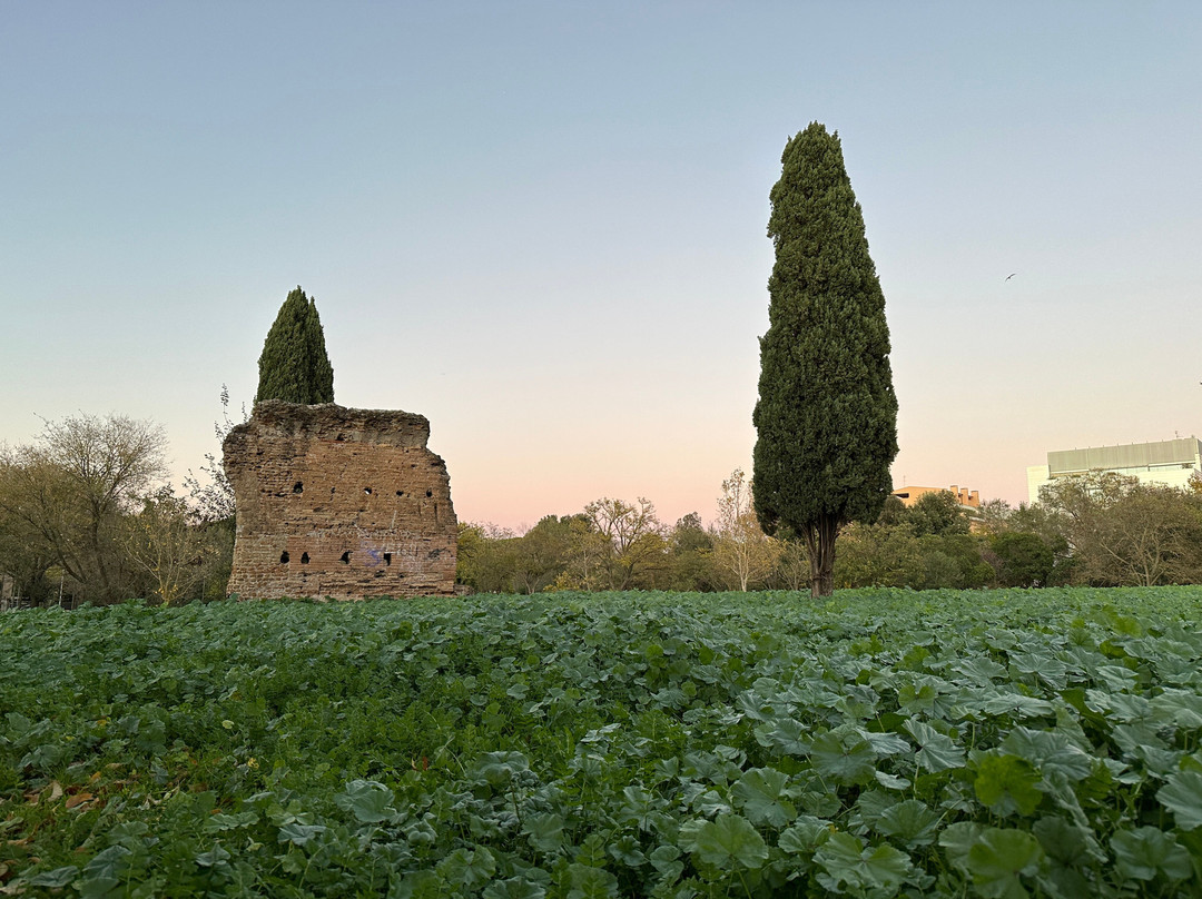 Villa Gordiani-罗马必去景点
