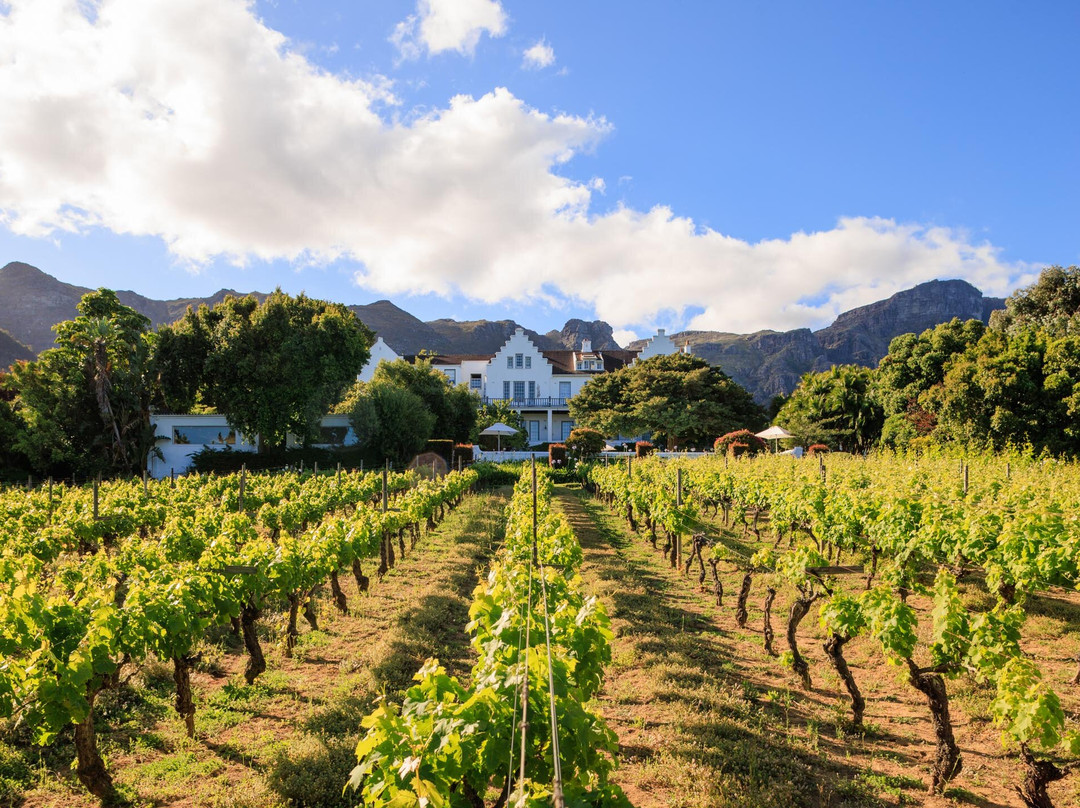 塞拉斯酒店主图