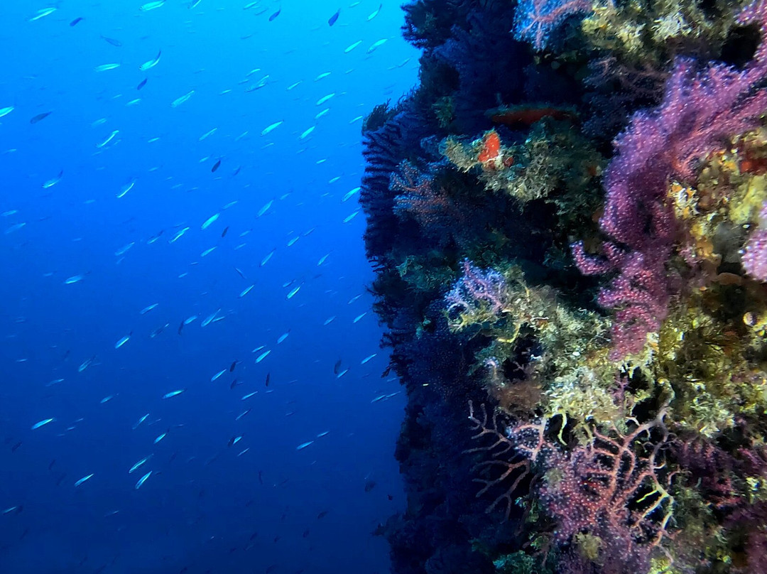 Centro de Buceo Burbujas-Ceuta必去景点