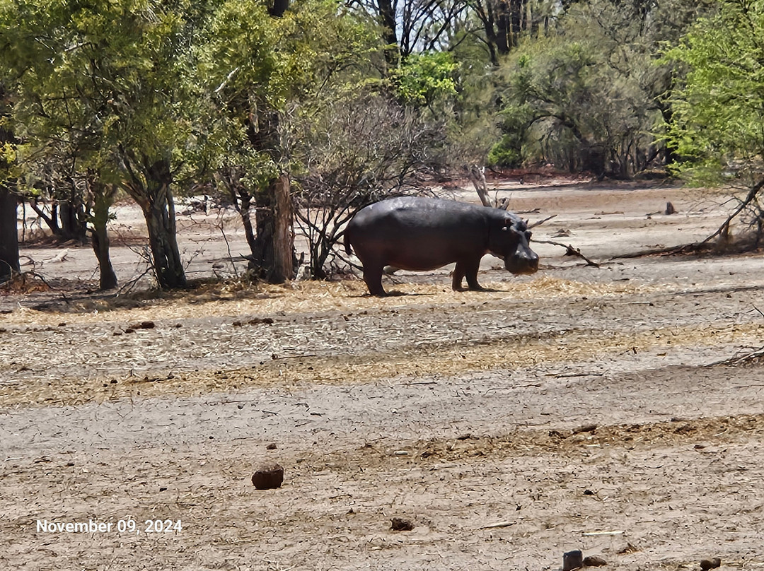 Mosi-oa-Tunya National Park景点图片
