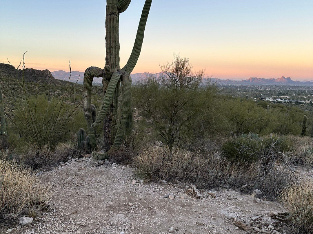 Linda Vista Trail-Oro Valley必去景点