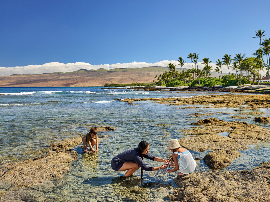 毛娜拉尼湾酒店主图