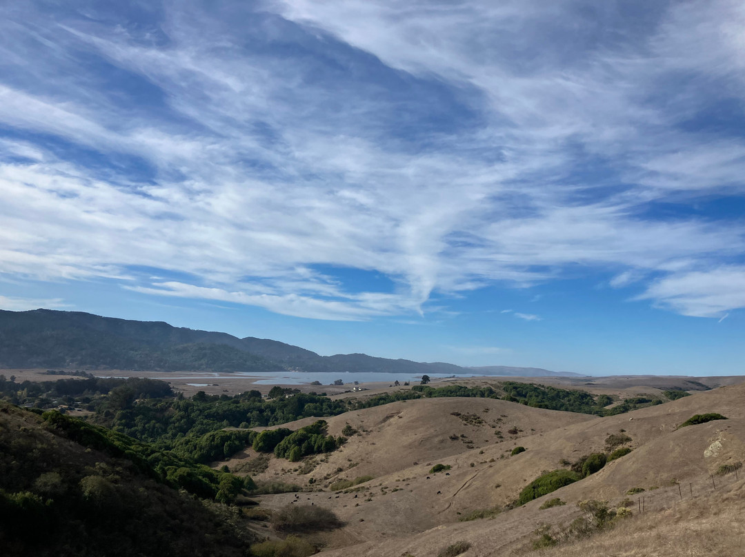 Point Reyes Arabian Adventures景点图片
