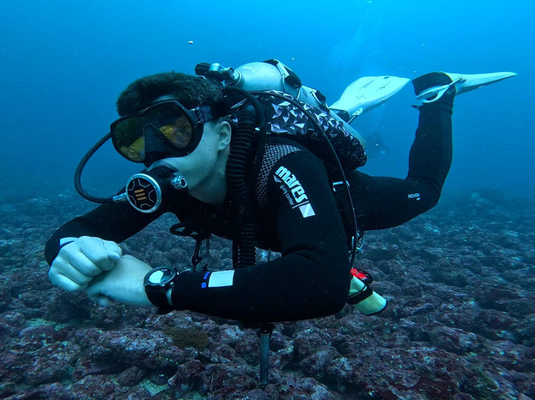 Submersea Diving - Dive Center景点图片