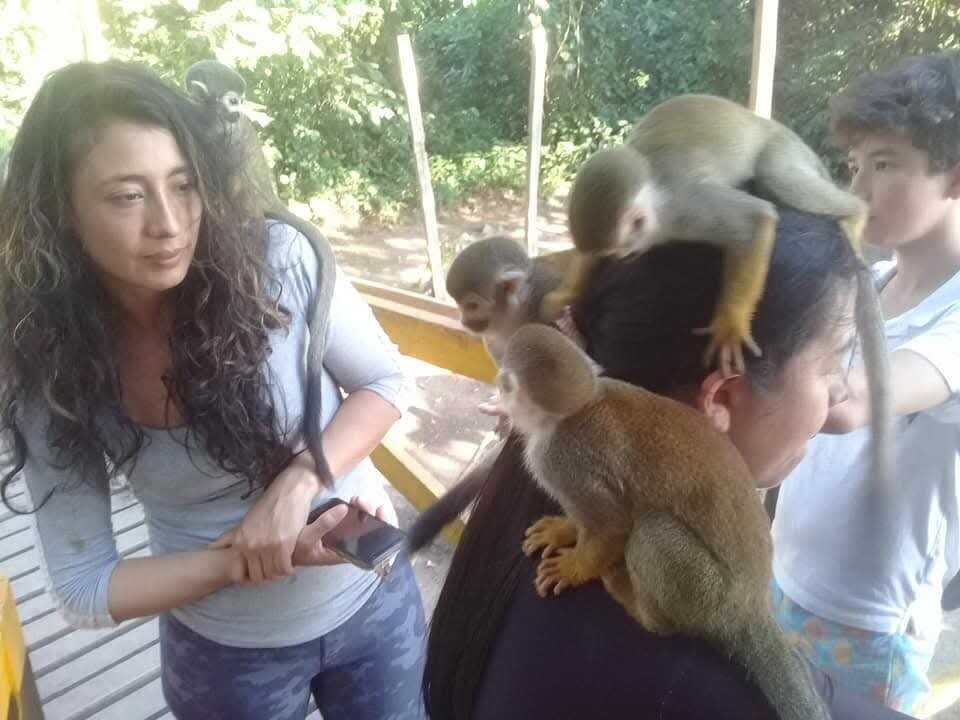Experiencias Amazonicas Agencia景点图片