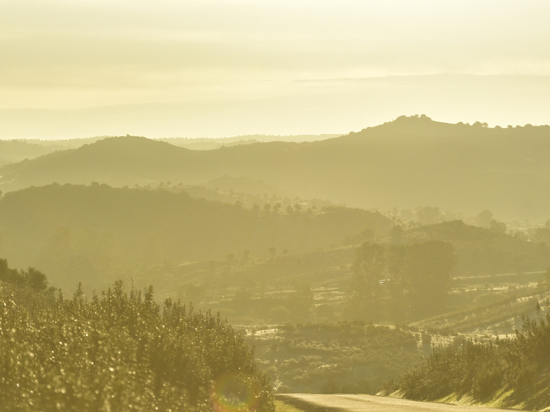 Rewilding Portugal - Touristic Experiences-Pinhel必去景点