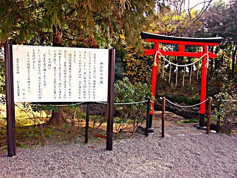 Washinomiya Shrine-久喜市必去景点