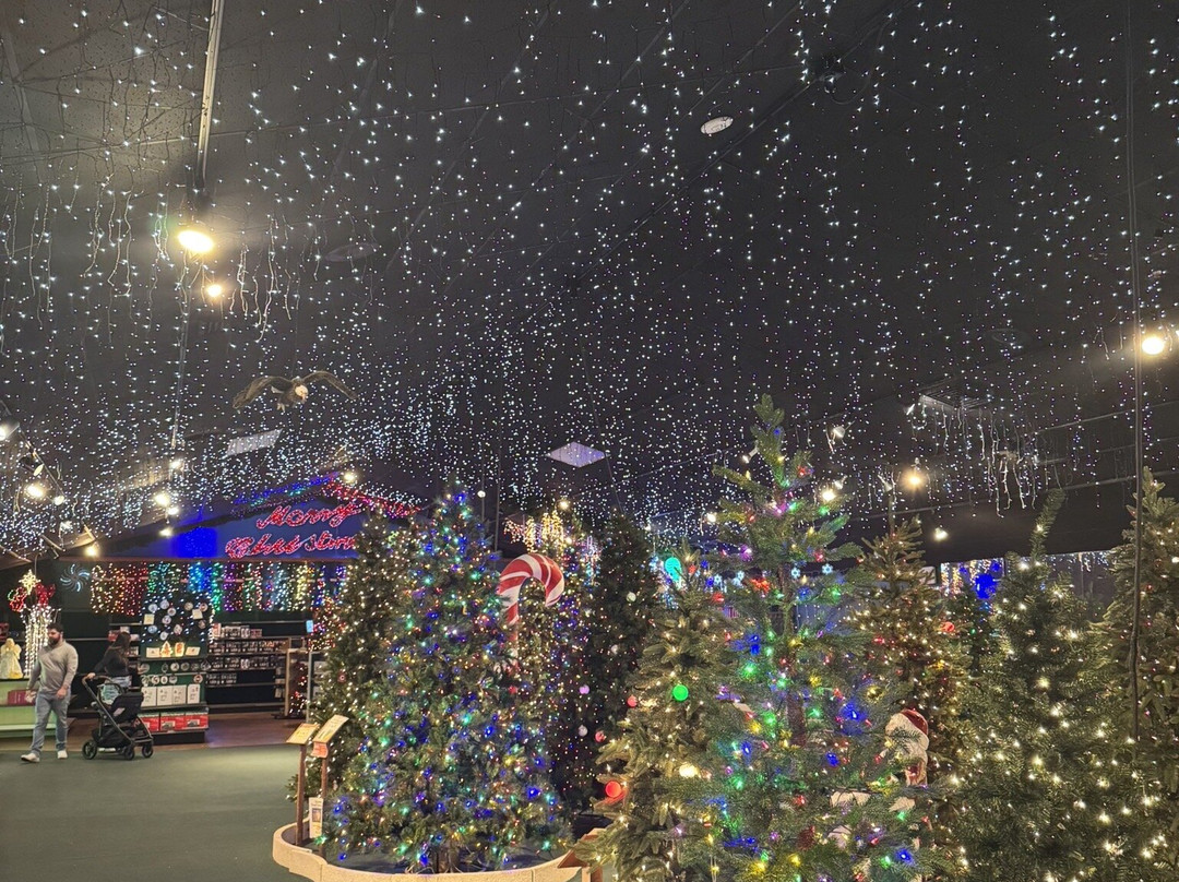 Robert's Christmas Wonderland-克利尔沃特必去景点