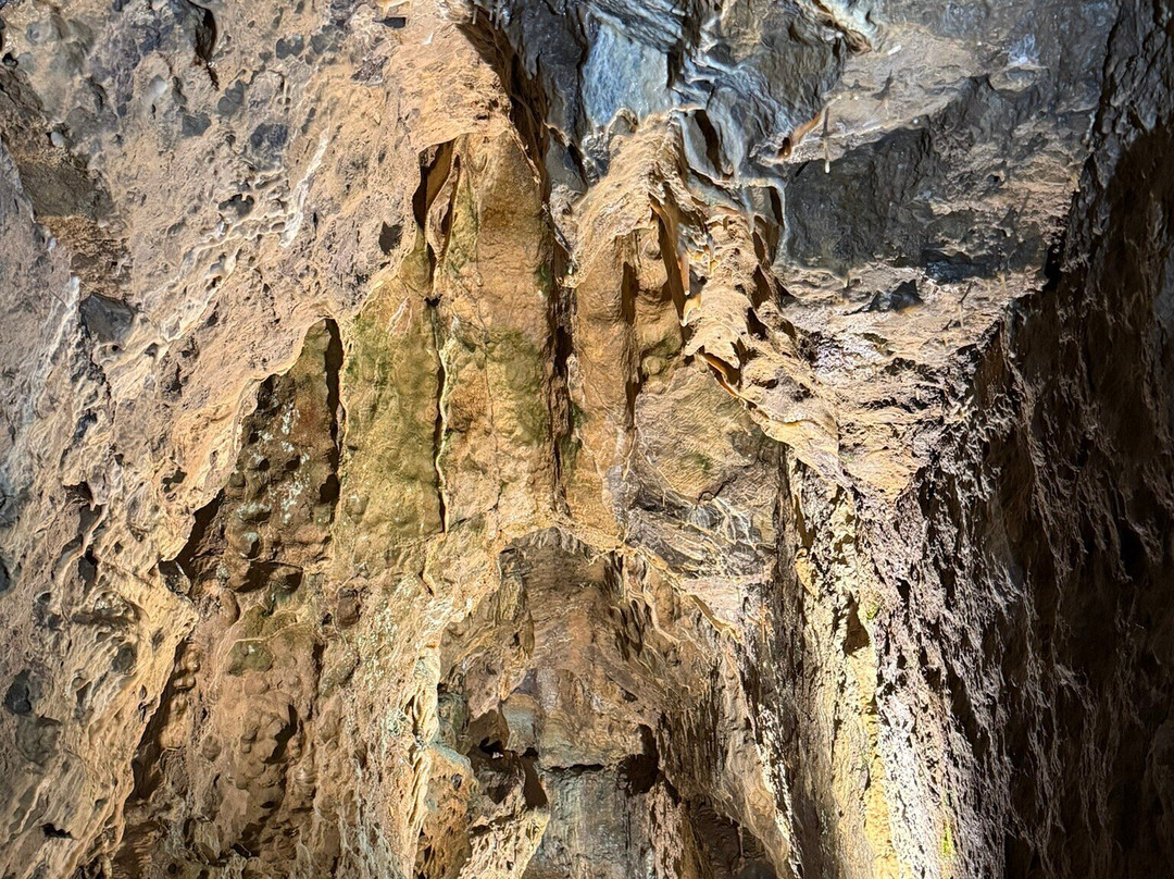 Grottes de Hotton景点图片