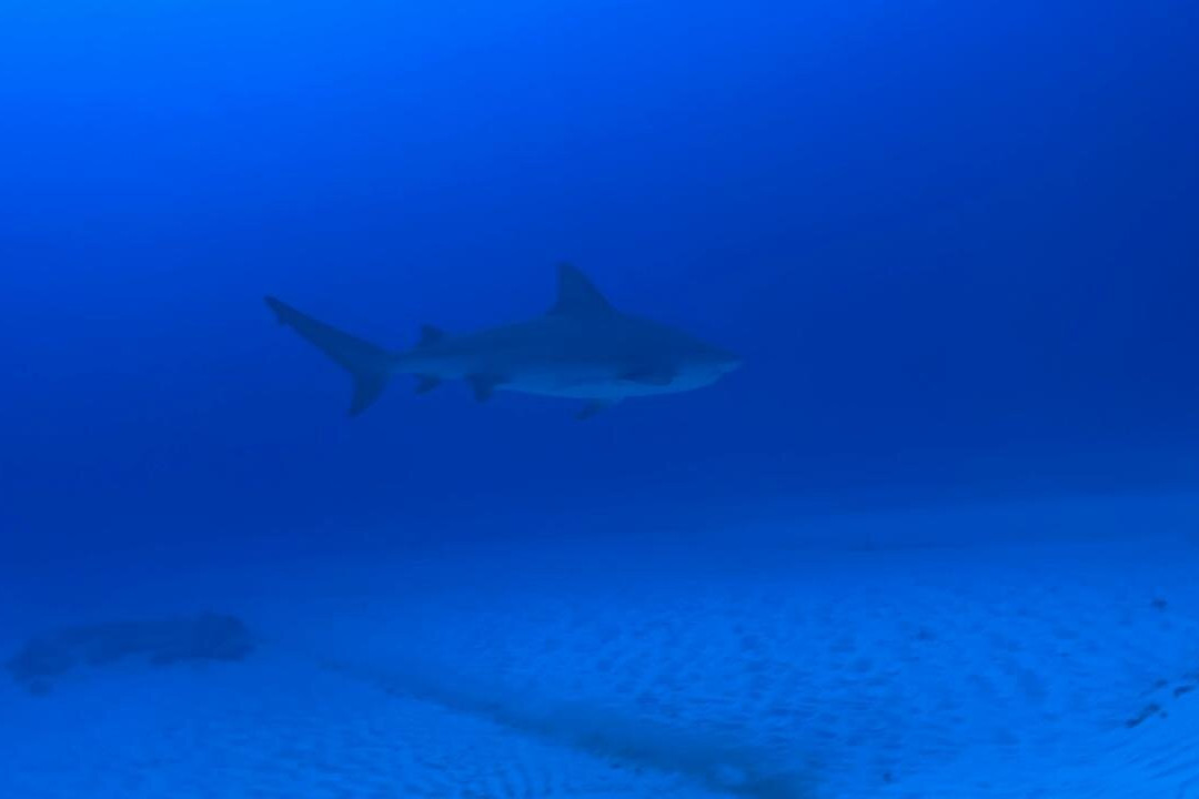 Diverz Den Tulum-图伦必去景点