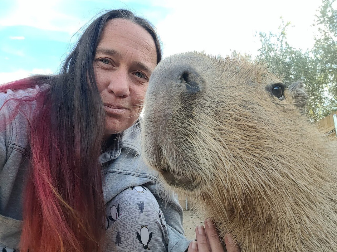 Ghost Ranch Exotics-马拉纳必去景点