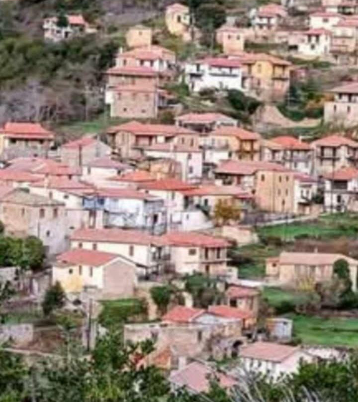 Irene's Healthy Life-Pallini必去景点