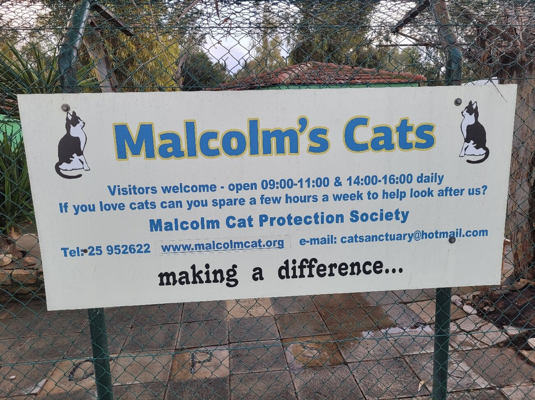 Malcolm Cat Protection Society-null必去景点
