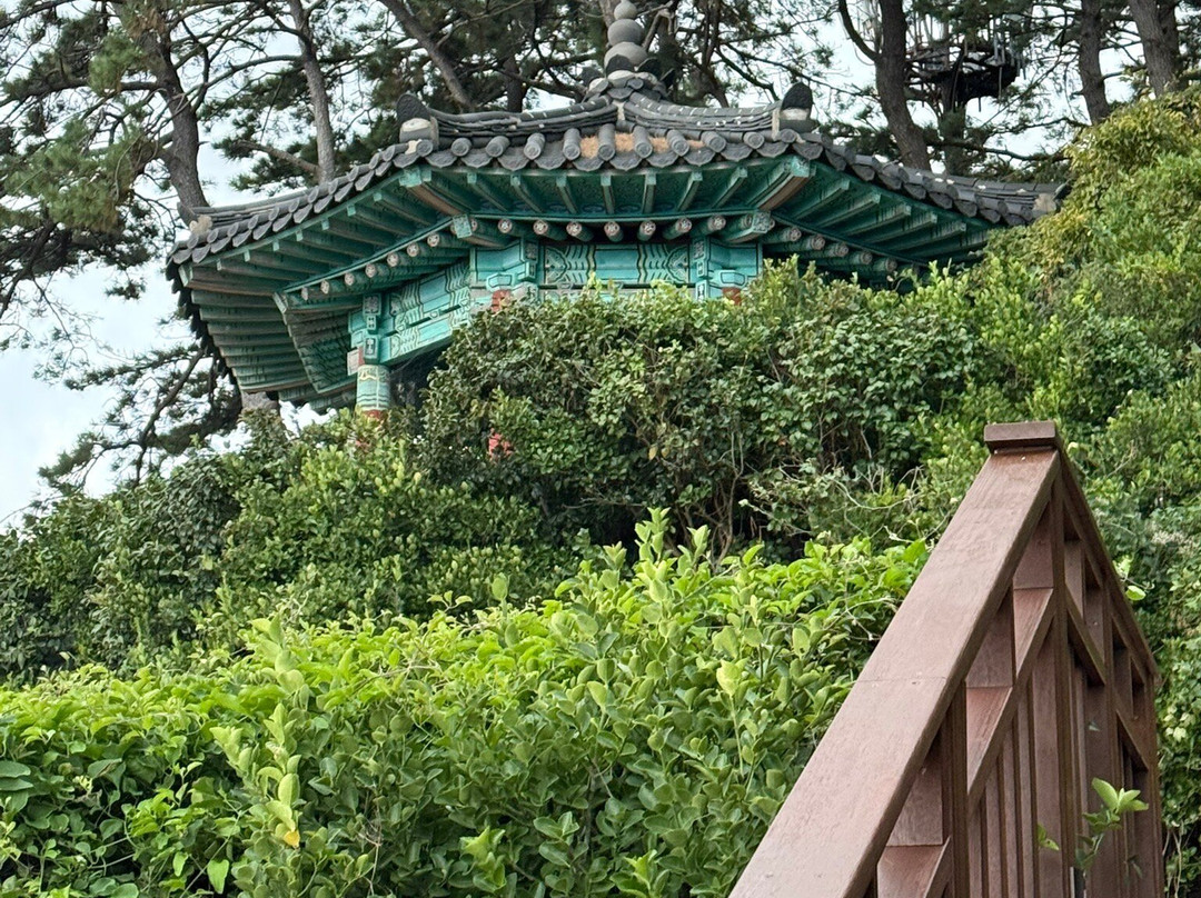 Dongbaekseom-釜山必去景点