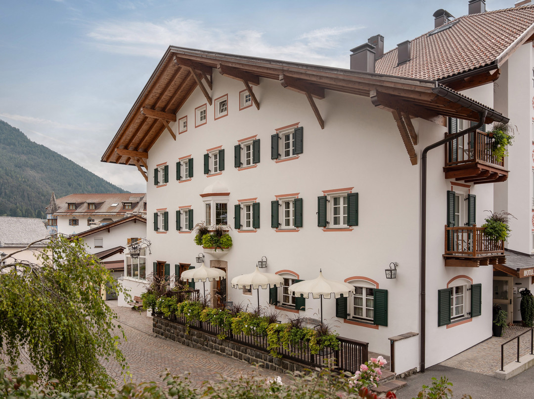 Schwarzer Adler主图