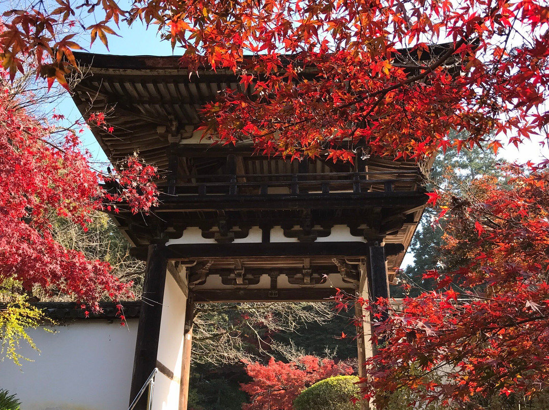 Chogaku-ji Temple-天理市必去景点