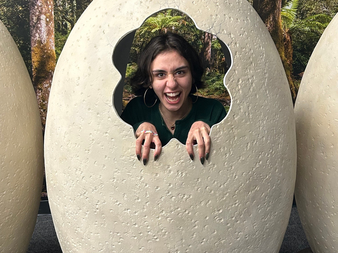 Boonshoft Museum of Discovery-代顿必去景点