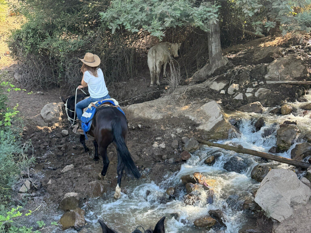 Cabalgatas Santiago-圣地亚哥必去景点