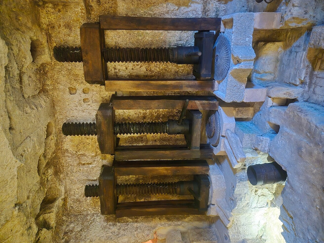 MOOM Matera Olive Oil Museum-马泰拉必去景点