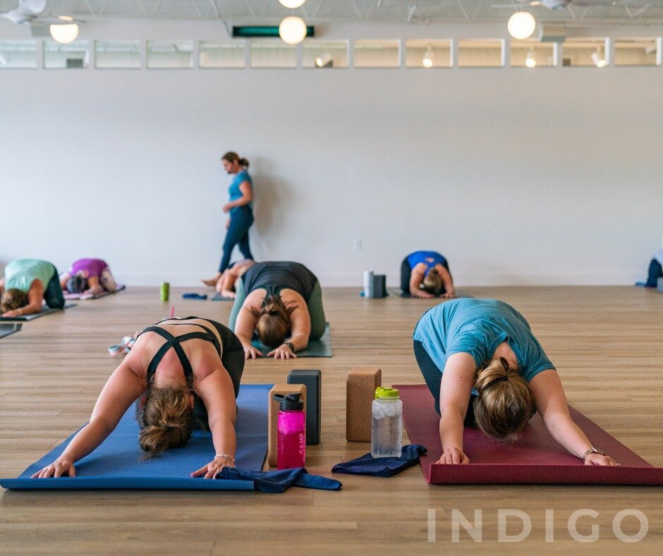 Indigo Yoga-沃思堡必去景点