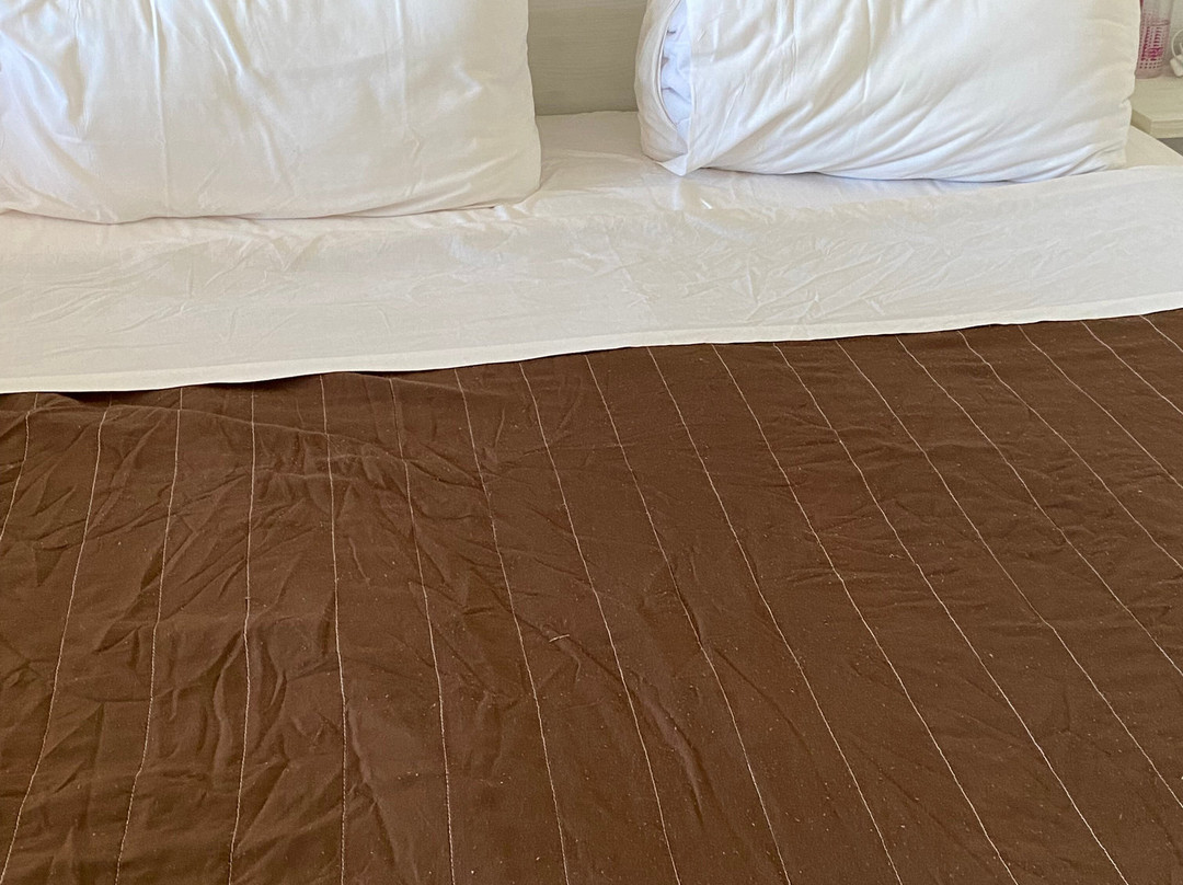 Porto Demo Hotel主图