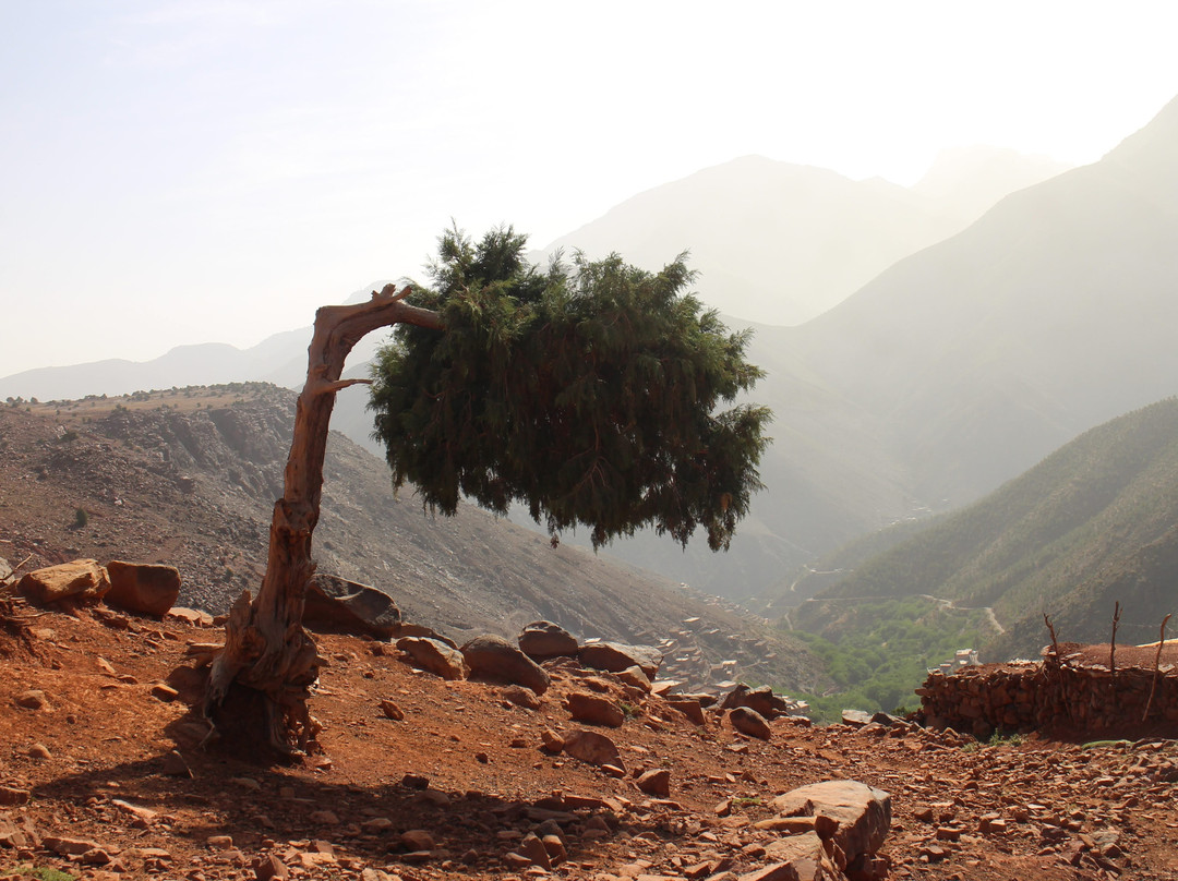 Empreintes Marocaines景点图片