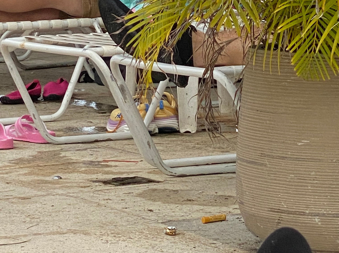 Vivo Beach Club-卡罗来纳必去景点