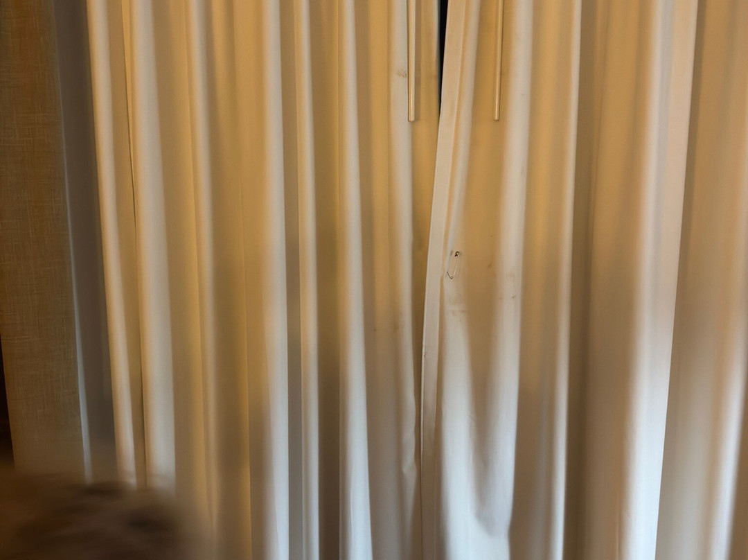 夏洛特派恩维尔希尔顿花园旅馆主图