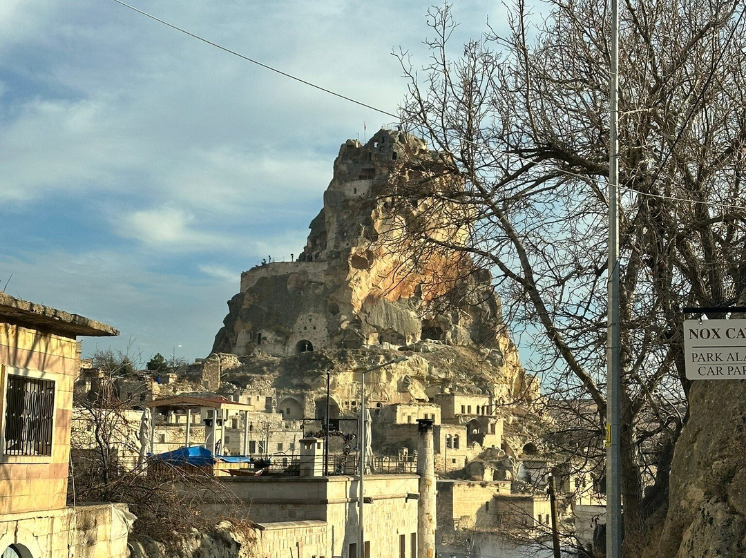 Doctor's Cave Suites主图