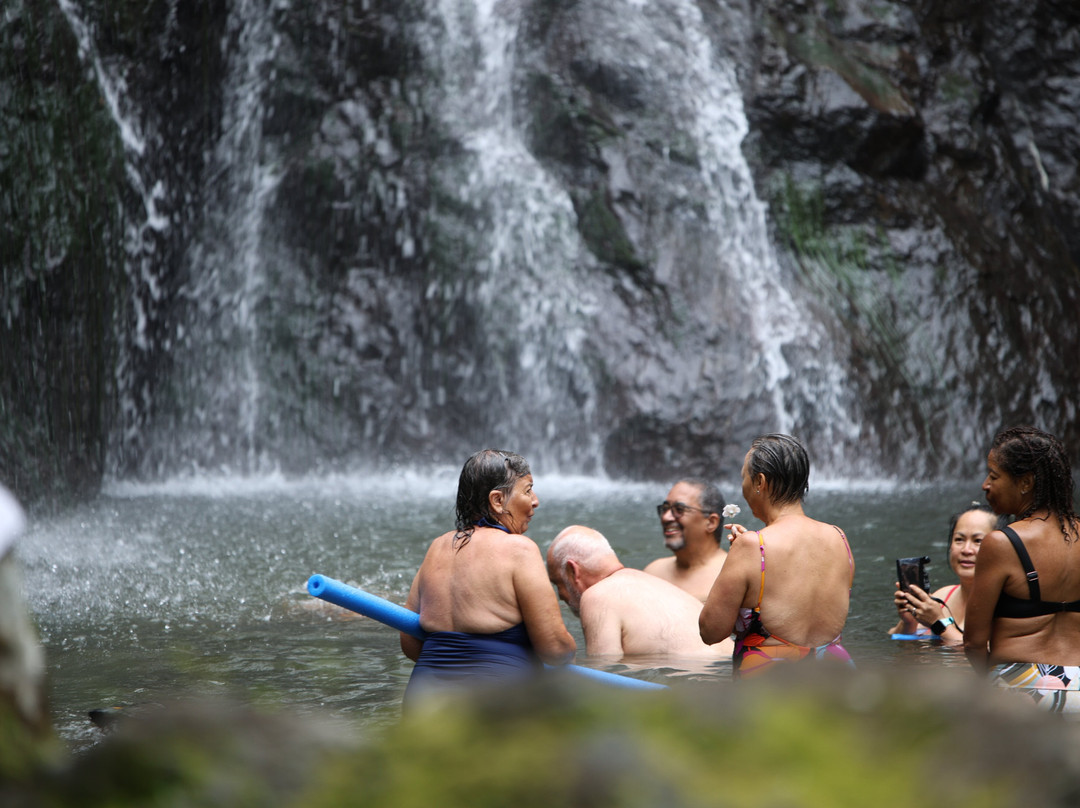 Vuadomo Waterfall - Muanivatu Trails-萨武萨武必去景点