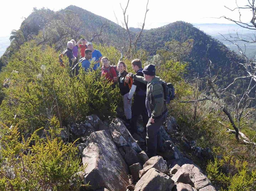 Hike Tribe-墨尔本必去景点