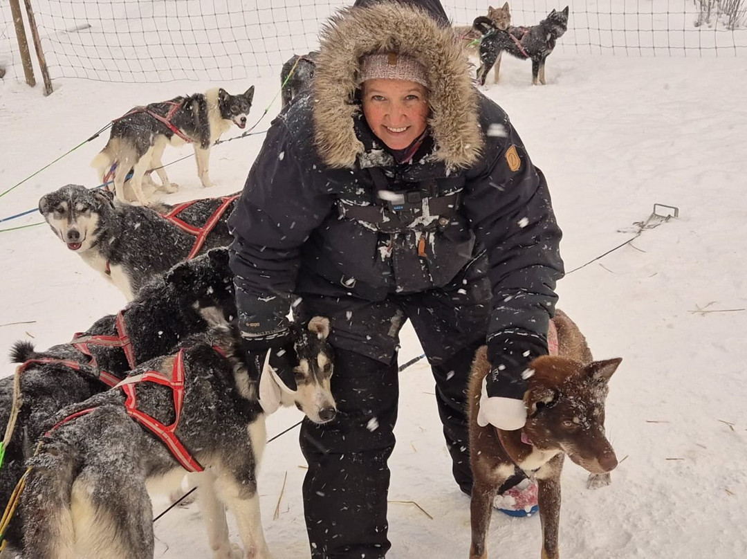 Husky Ranch Lapland-Kolari必去景点