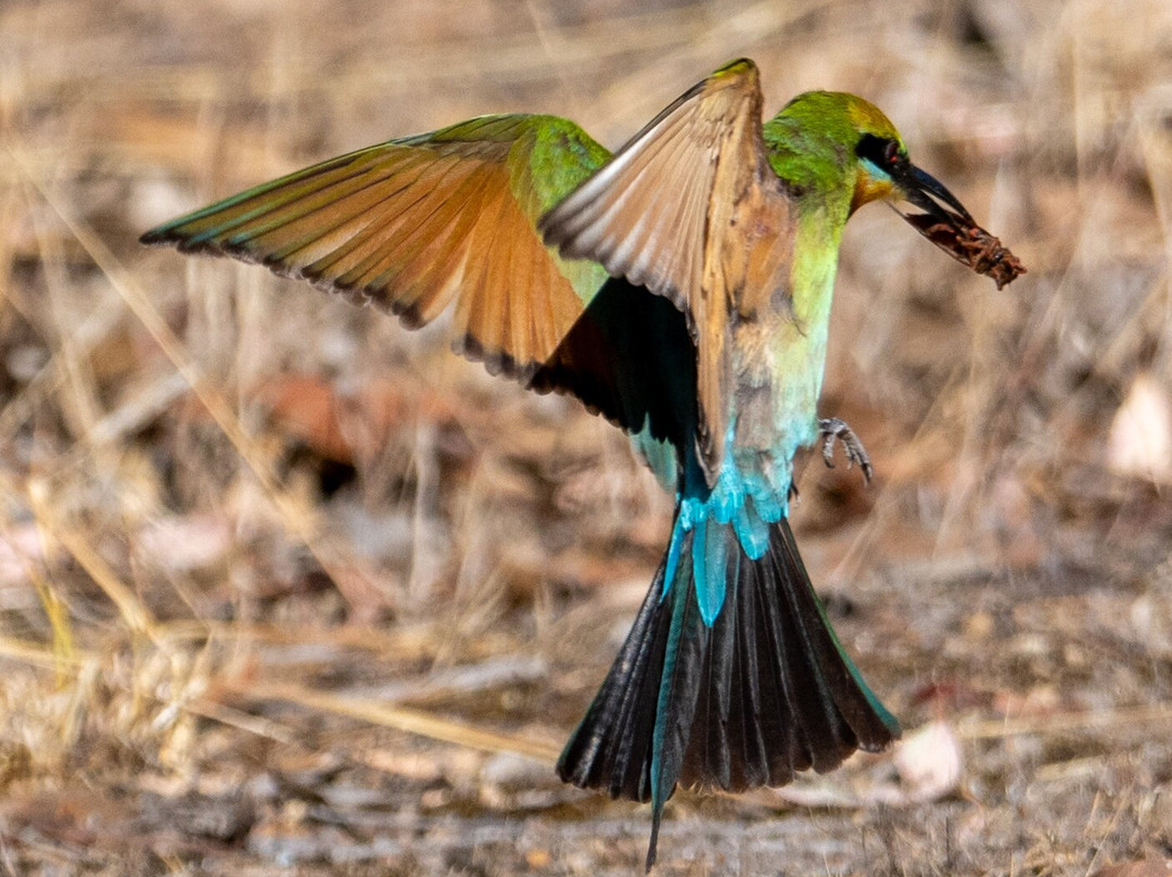 Adventure Art Photography-汉道夫德国村必去景点