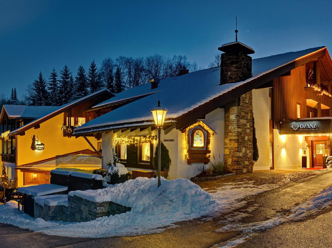 Weissach酒店住宿-Diana Naturpark Hotel