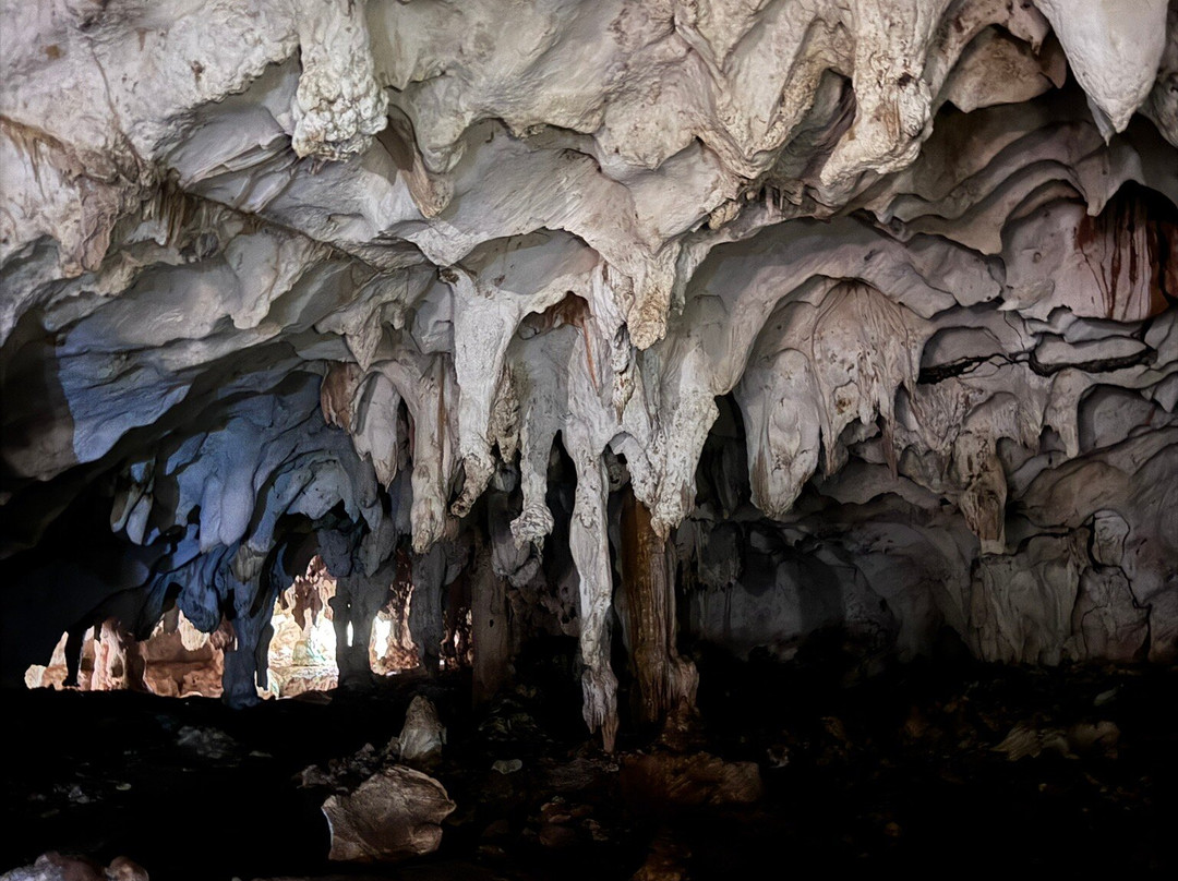 Hamilton's Cave Tours-长岛必去景点